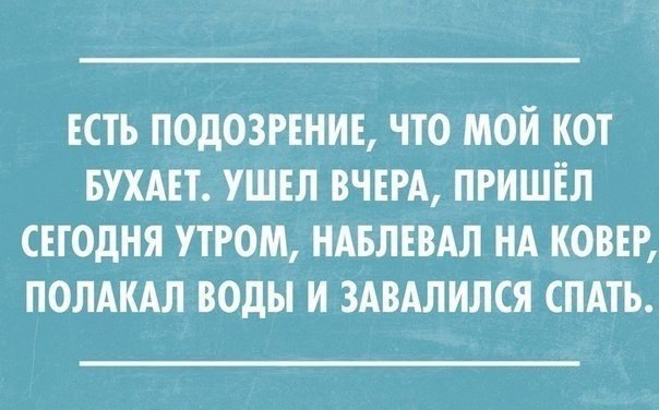   - 28  2015  23:04