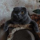 ���� �������, ������, 53 ���� - ��������� 21 ������� 2014 � ������ ���� ����������