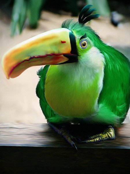  Angry Birds   - 6