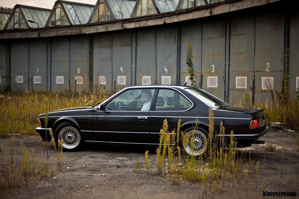 BMW 6 Series E24 - 3