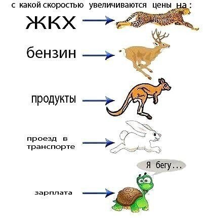   | , ,  - 10  2015  09:01