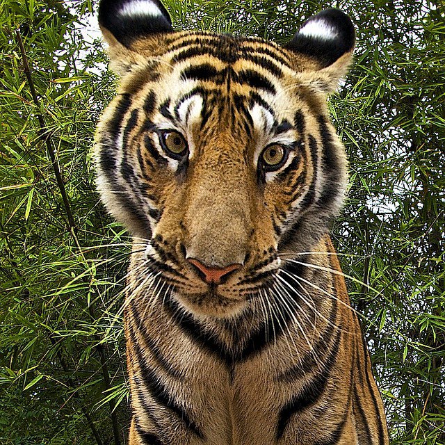   National Geographic - 26