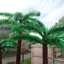 ���� �������, �����, 47 ��� - ��������� 11 ������ 2015 � ������ ������ ��������