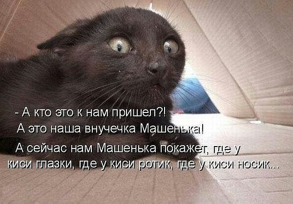 ���� - 6 ������ 2015 � 20:09