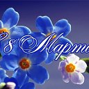 ���� ��������, �����-��������� - ��������� 8 ����� 2015 � ������ �������� ��������