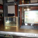 ���� �������� ����, ������, 46 ��� - ��������� 7 ������ 2015 � ������ ��� ����� �������