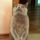 ���� Tyap, ���������, 57 ��� - ��������� 17 ������ 2015 � ������ ���������� ����