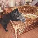 ��� ������� �� ������� ���� ����������