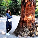 ���� Pups, ������, 28 ��� - ��������� 15 ������ 2015 � ������ ���� ����������