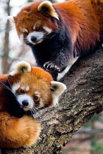 Art & Fun - 16  2015  17:16 - 2