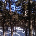 ����� � �������� ����, ������� 2015 �. �� ������� ��������