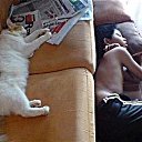 ���� ����, ������, 45 ��� - ��������� 21 ������ 2015 � ������ ���� ����������