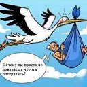 ���� ��������, ������, 33 ���� - ��������� 7 ������� 2015 � ������ ���������