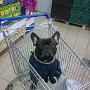 ���� ��������, ������� - ��������� 26 ����� 2015 � ������ ���� ��������