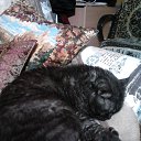 ��� � �����... �� ������� �RoadKing�