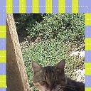 ���� ����, ������������, 40 ��� - ��������� 29 ����� 2015 � ������ ���� ����������