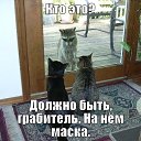 ���� �������, ������-��-����, 46 ��� - ��������� 21 ������ 2015 � ������ ������ ��������