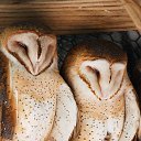 ���� �����, ����������, 40 ��� - ��������� 20 ����� 2015 � ������ ������ ��������