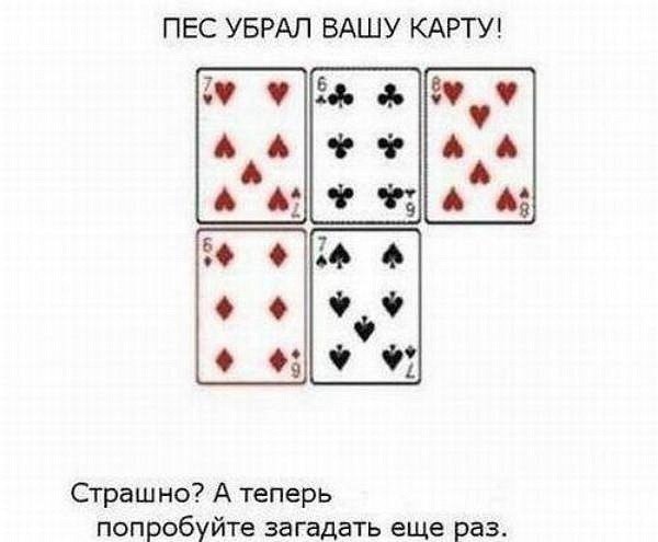    E (, , ) - 14  2015  00:21 - 3