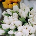 ���� �����, ����������� - ��������� 5 ����� 2015