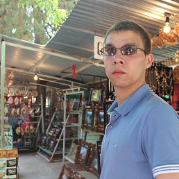 ������, �������, 37 ���