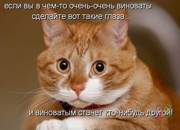       - 13  2014  23:32