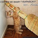 ���� Hasil, �����, 25 ��� - ��������� 29 ������ 2015 � ������ ������ ��������