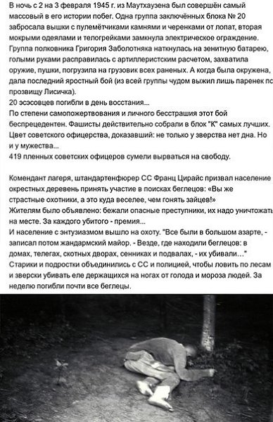    . - 6