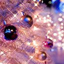 ���� �����, ������-��-����, 29 ��� - ��������� 28 ������� 2014 � ������ ���� ����������