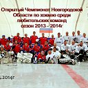  Denis, , 48  -  14  2015