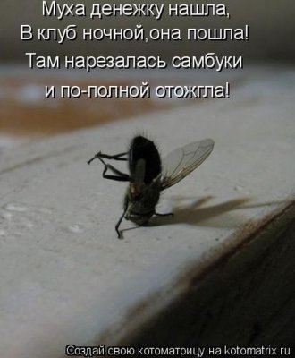  - 18  2015  16:15