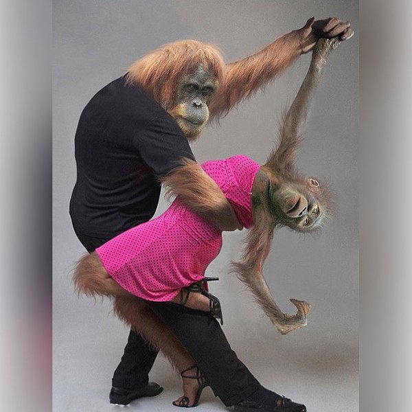 �������, � � ��� ���� ����� ��� ��������? - ������!... )))