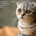 ���� ���������, ������, 30 ��� - ��������� 11 ������ 2015 � ������ ���� ����������