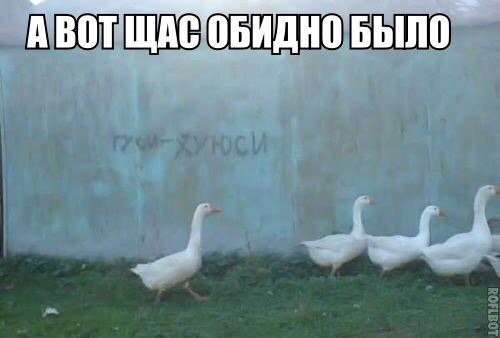  - 16  2015  13:47
