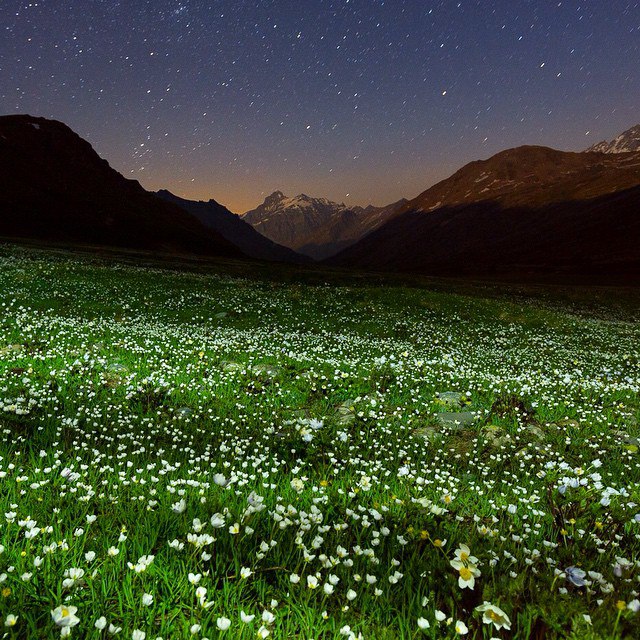   National Geographic - 10