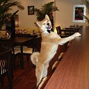 ���� ������, �������, 25 ��� - ��������� 30 ������ 2015 � ������ ���� ����������