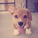  Danil, , 30  -  5  2015