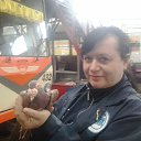 ���� ����, ���������, 56 ��� - ��������� 8 ������ 2015 � ������ ���� ����������