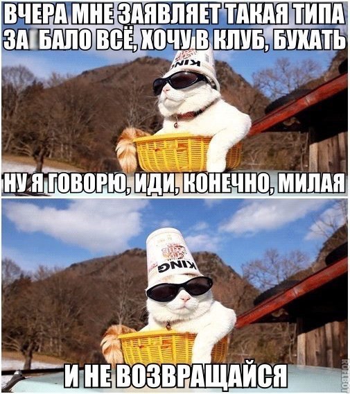   ,  : <a href=