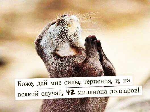 BEST | , ,  - 12  2015  17:10