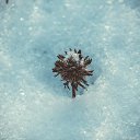 ���� ���������, ��������, 34 ���� - ��������� 8 ������ 2015 � ������ ����� 2�