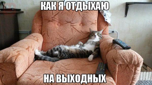 Diary Of A Successful Girls - 28  2015  11:42
