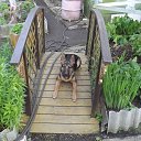 ���� ������, �����-���������, 54 ���� - ��������� 6 ������� 2015 � ������ ������