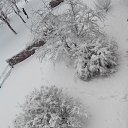 ���� ���������, ���� - ��������� 5 ������� 2015 � ������ ���� ����������