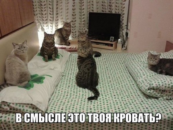       - 10  2015  15:32