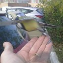 ���� ���, ������, 54 ���� - ��������� 14 ������� 2014 � ������ ������ ��������