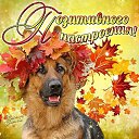 ���� ������, ������ - ��������� 2 ������ 2015 � ������ ���� ���,��� �������!!!�