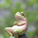 ���� �����, ���������, 62 ���� - ��������� 20 ������ 2015 � ������ ������ ��������