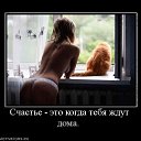 ���� �����, ������ - ��������� 22 ������ 2015 � ������ ������ ��������