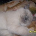 ���� �������, ������, 44 ���� - ��������� 11 ������ 2015